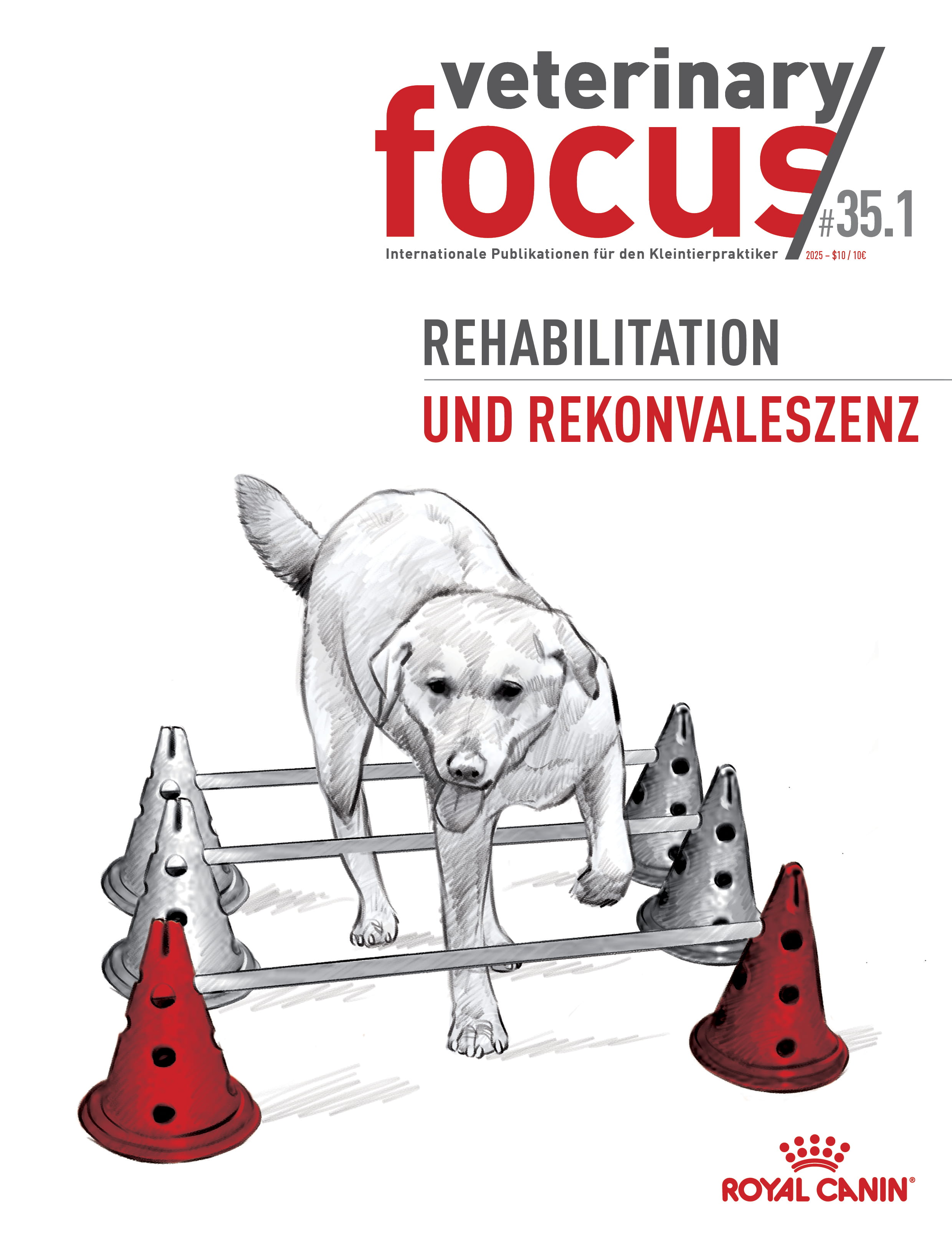 Rehabilitation und Rekonvaleszenz