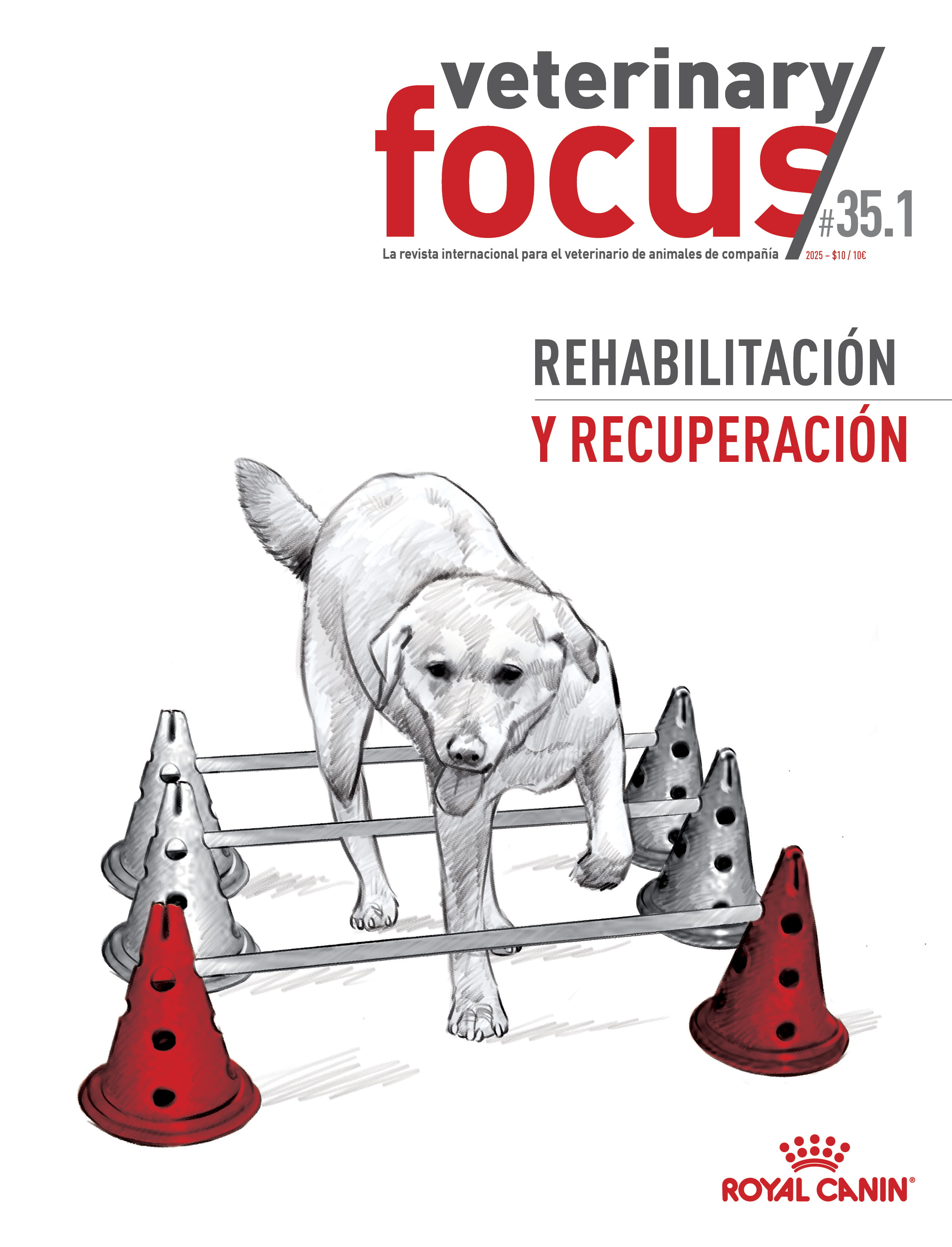 Rehabilitación y recuperación