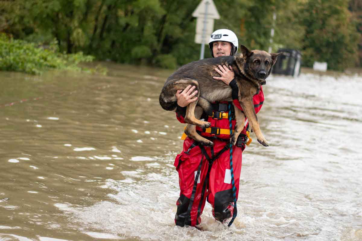 Socorrista con un perro rescatado de las inundaciones