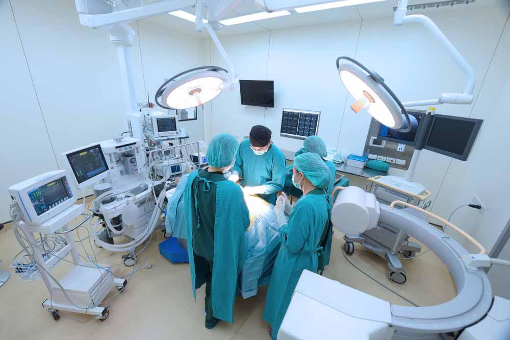 Internship veterinari negli USA