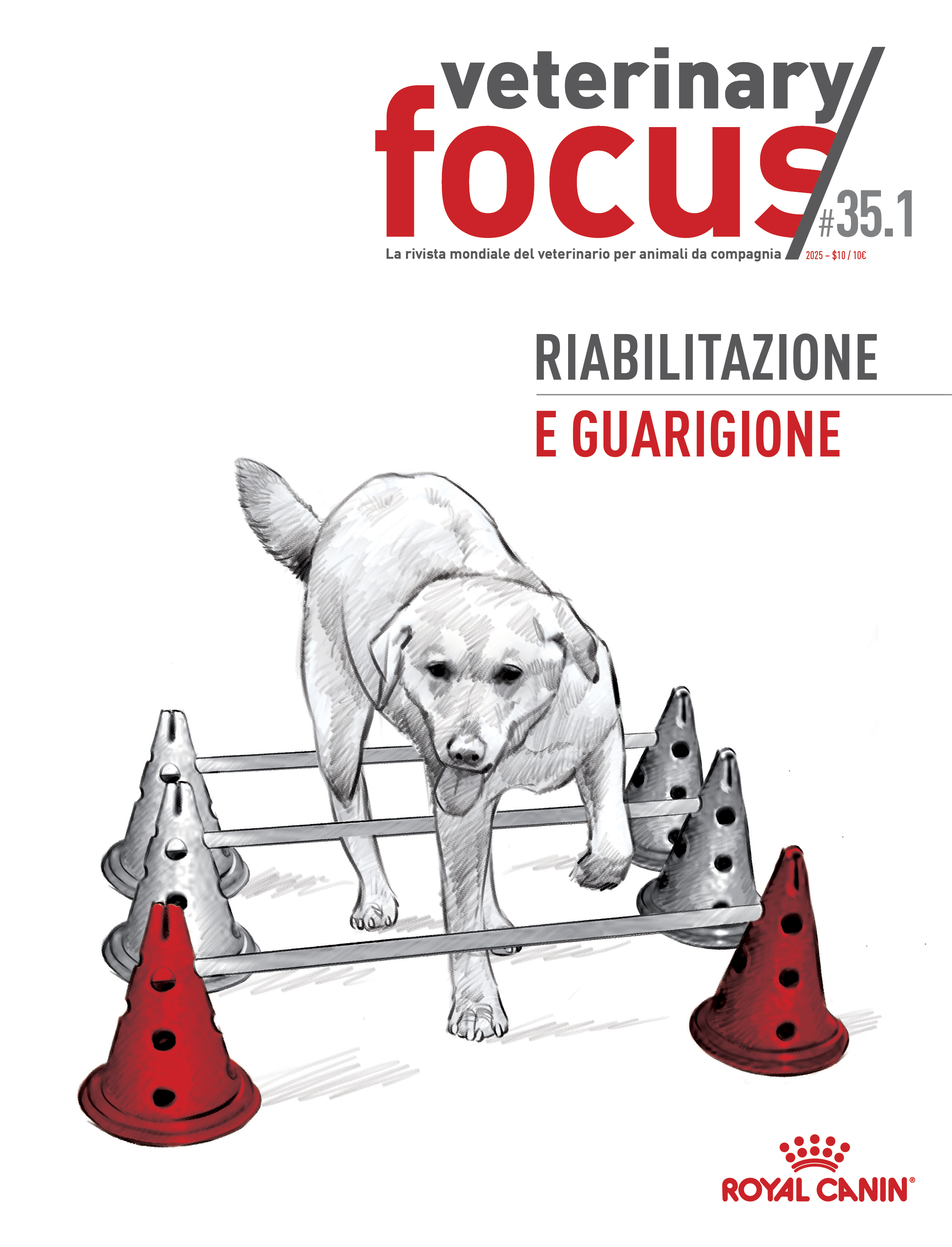 Riabilitazione e guarigione